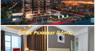 APARTEMENT THE WAHID PRIVATE RESIDENCE TYPE PEABERRY