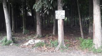 Tanah 1535 meter – Jalan Pembangunan Dusun 3