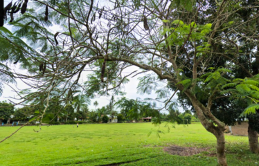 Tanah 3 Hektar di Tanjung Morawa – Jalan Lengau Serpang