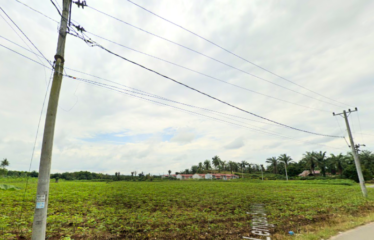 Tanah 3 Hektar di Tanjung Morawa – Jalan Lengau Serpang