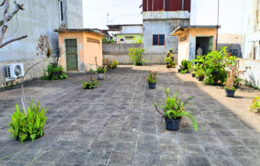 Ruko Gandeng Strategis Jalan Pukat 2 (daerah Aksara/Letda Sujono)