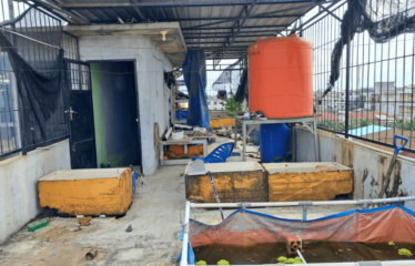 Ruko daerah Kapten Muslim – Jalan Jawa (Helvetia)