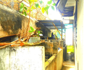 Rumah/Tanah 940 meter Jalan Pelita 1 (daerah Krakatau/Rakyat)