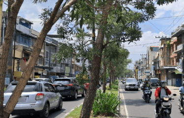 Ruko Strategis Jalan Katamso