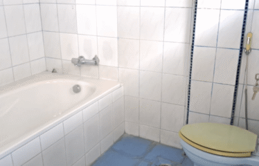 Ruko Gandeng 3 Jalan Krakatau