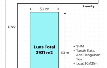 Tanah 3930 meter Jalan Menteng 7 (Denai)