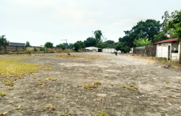 Tanah 4950 meter Jalan Pancing 1 Martubung