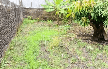 Tanah 854 meter Jalan Pancing I (Martubung)