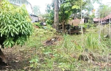 Tanah 854 meter Jalan Pancing I (Martubung)