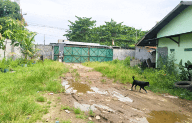 Gudang Disewakan 720 meter Jalan Pancing 1 Martubung