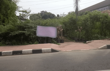 Tanah Luas 6000 m2 Daerah Tanjung Morawa