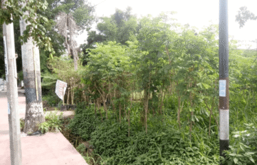 Tanah Luas 6000 m2 Daerah Tanjung Morawa