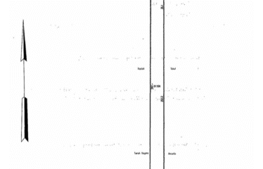 Tanah Luas 6000 m2 Daerah Tanjung Morawa