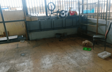 Villa Daerah Marelan Jalan Inspeksi ( Komplek )