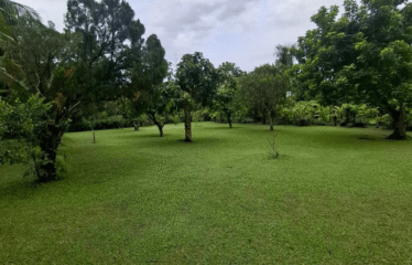 Tanah Jalan Raya Km 13.5 Tanjung Morawa