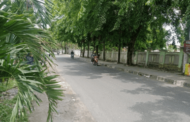 Tanah Daerah Krakatau Jalan Kapten Muchtar Basri