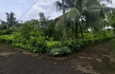 Tanah Jalan Raya Km 13.5 Tanjung Morawa