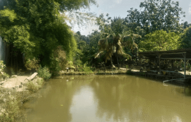 Tanah Jalan Raya Km 13.5 Tanjung Morawa