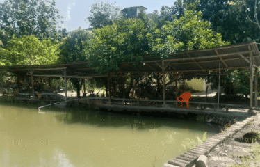 Tanah Jalan Raya Km 13.5 Tanjung Morawa