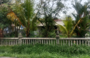 Tanah Strategis Jalan Cemara