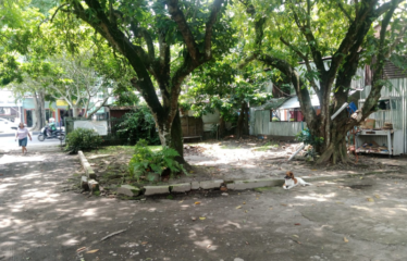 Tanah Medan Tuntungan Jalan Jamin Ginting