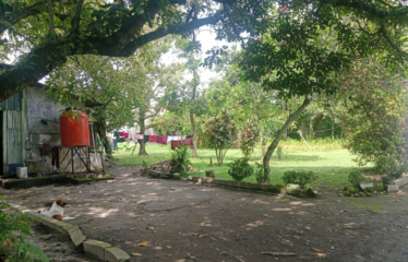 Tanah Medan Tuntungan Jalan Jamin Ginting
